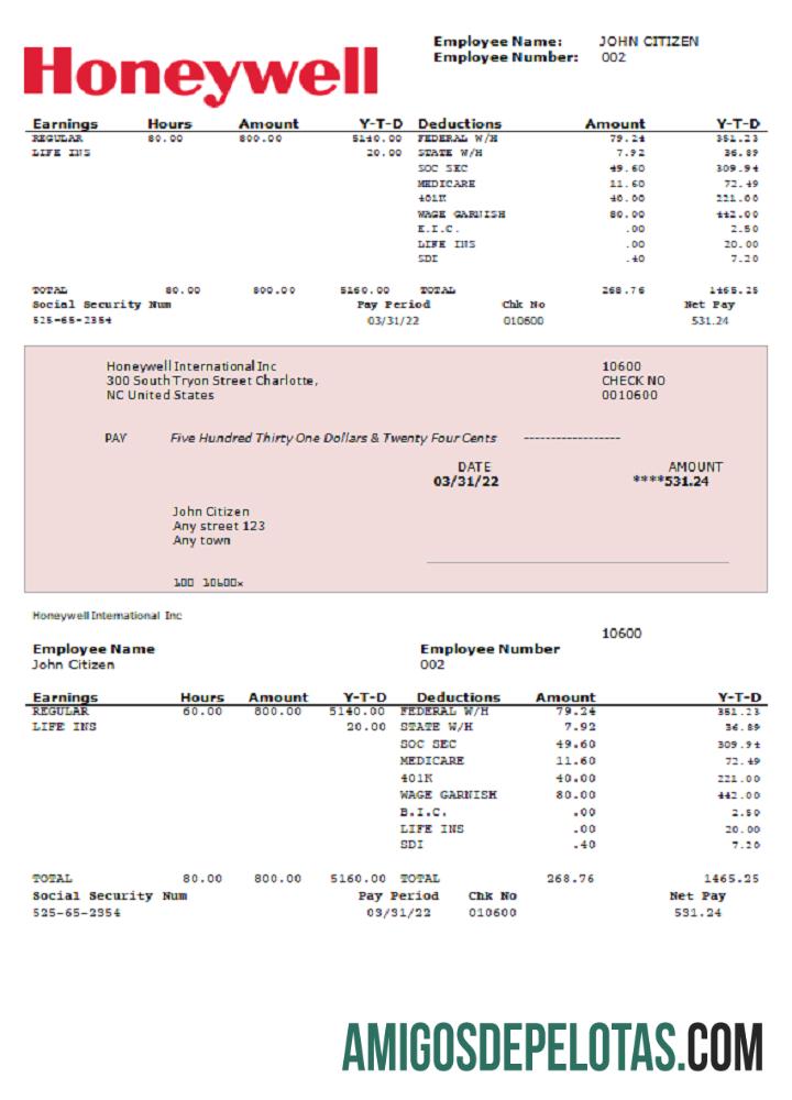 EUA Honeywell Conglomerate Company contracheque PSD exemplo real